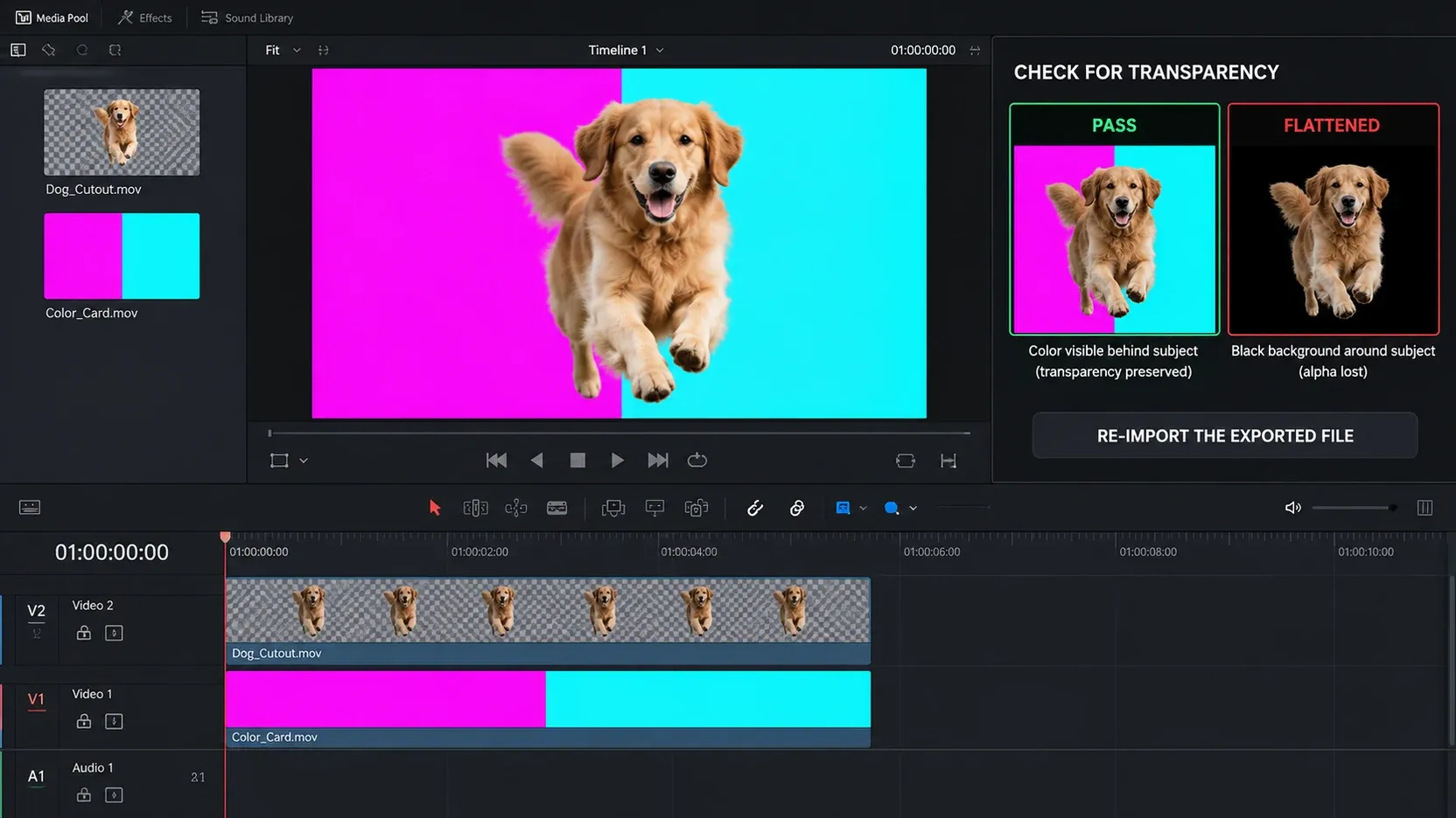 Transparent video verification with a re-imported cutout over vivid black and white backgrounds