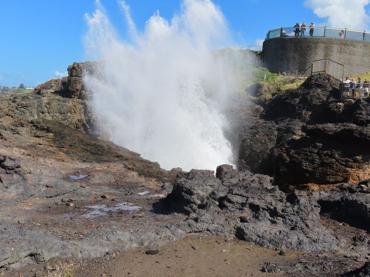 $2.50 Day Out - Kiama