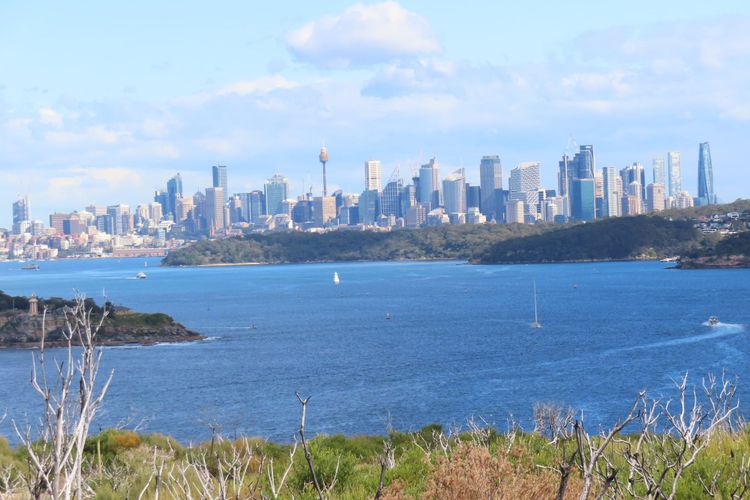 Iconic Walks - North Head