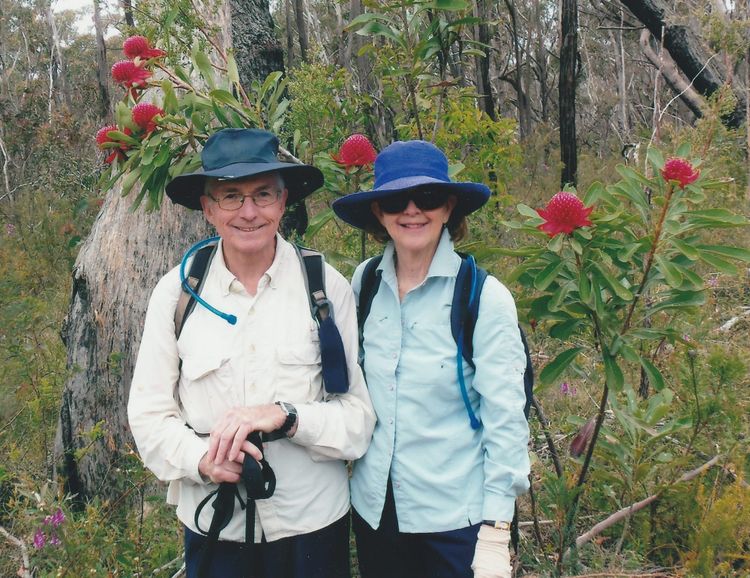 Australian Native Wildflowers