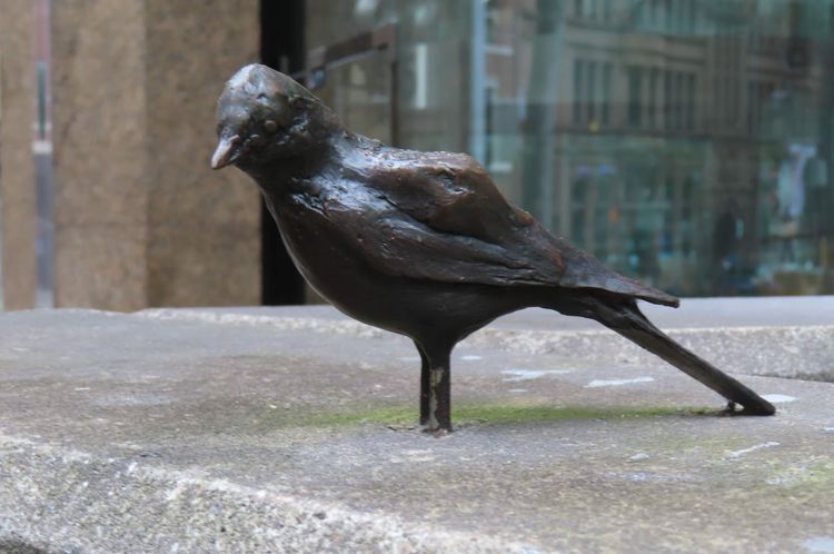 Sydney CBD "Birds" walk