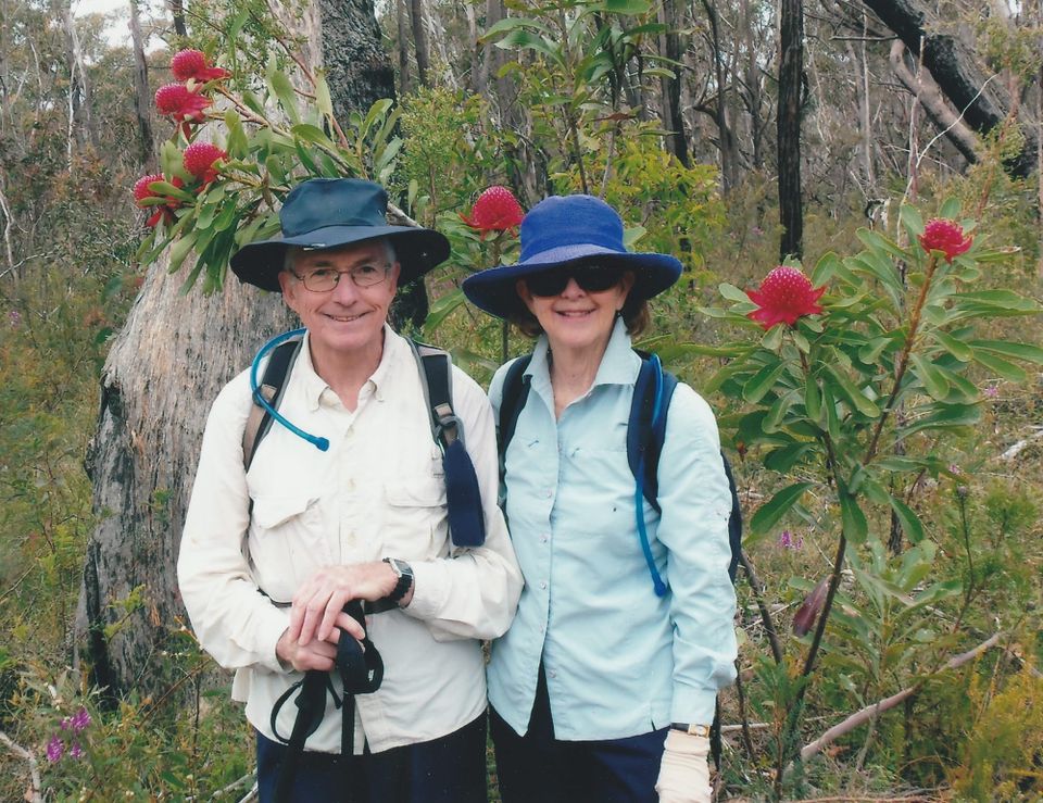 Australian Native Wildflowers