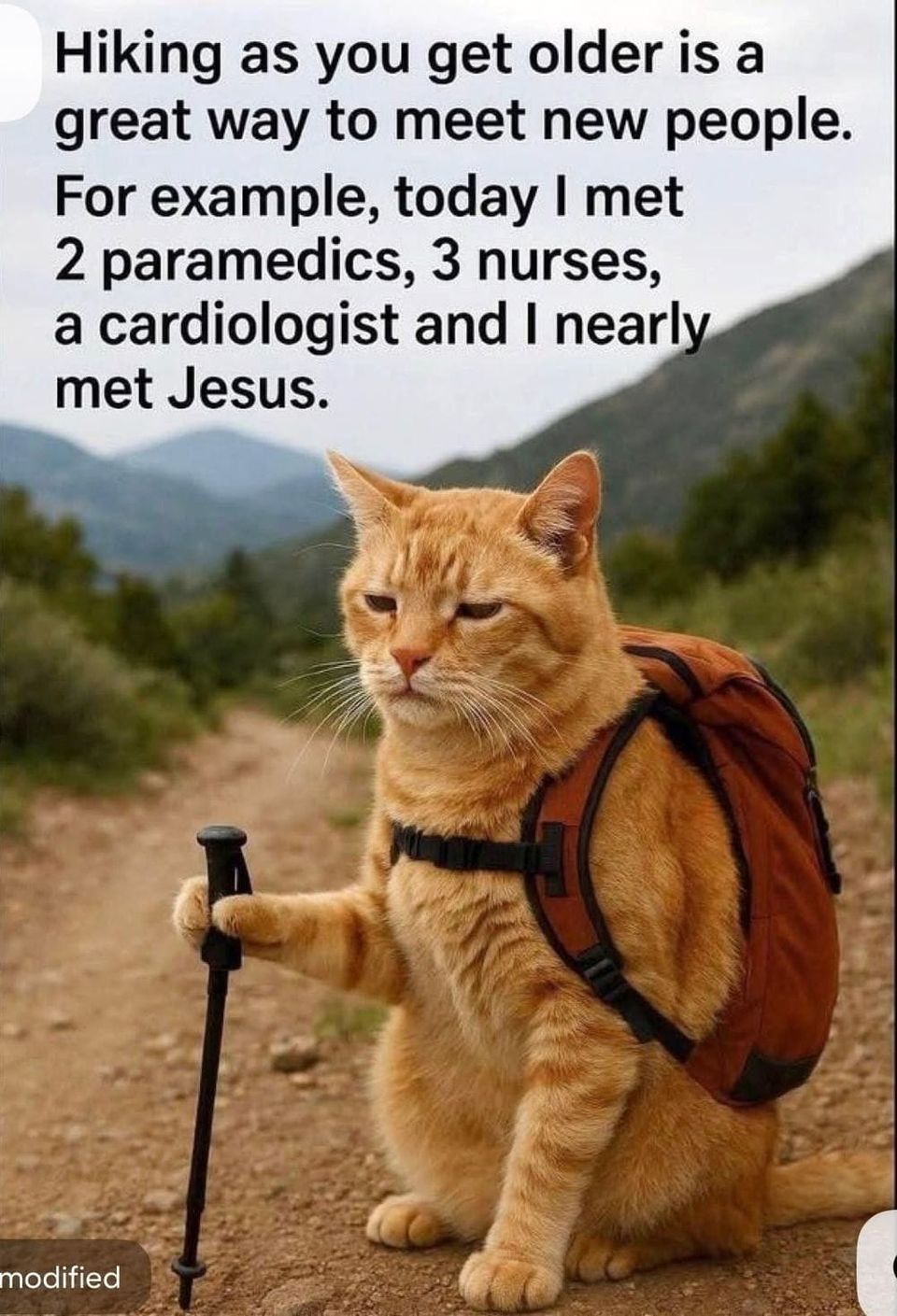 Walks