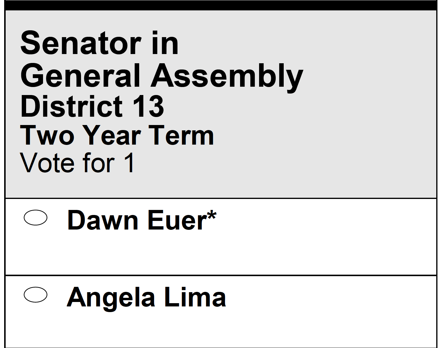 The heading says “Senator in General Assembly | District 13 | Two Year Term | Vote for 1”. The options are “Dawn Euer” (asterisked) and “Angela Lima”.