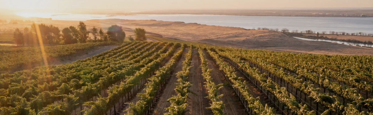 Sipping: Browne Family - Polished wines, zero pretension