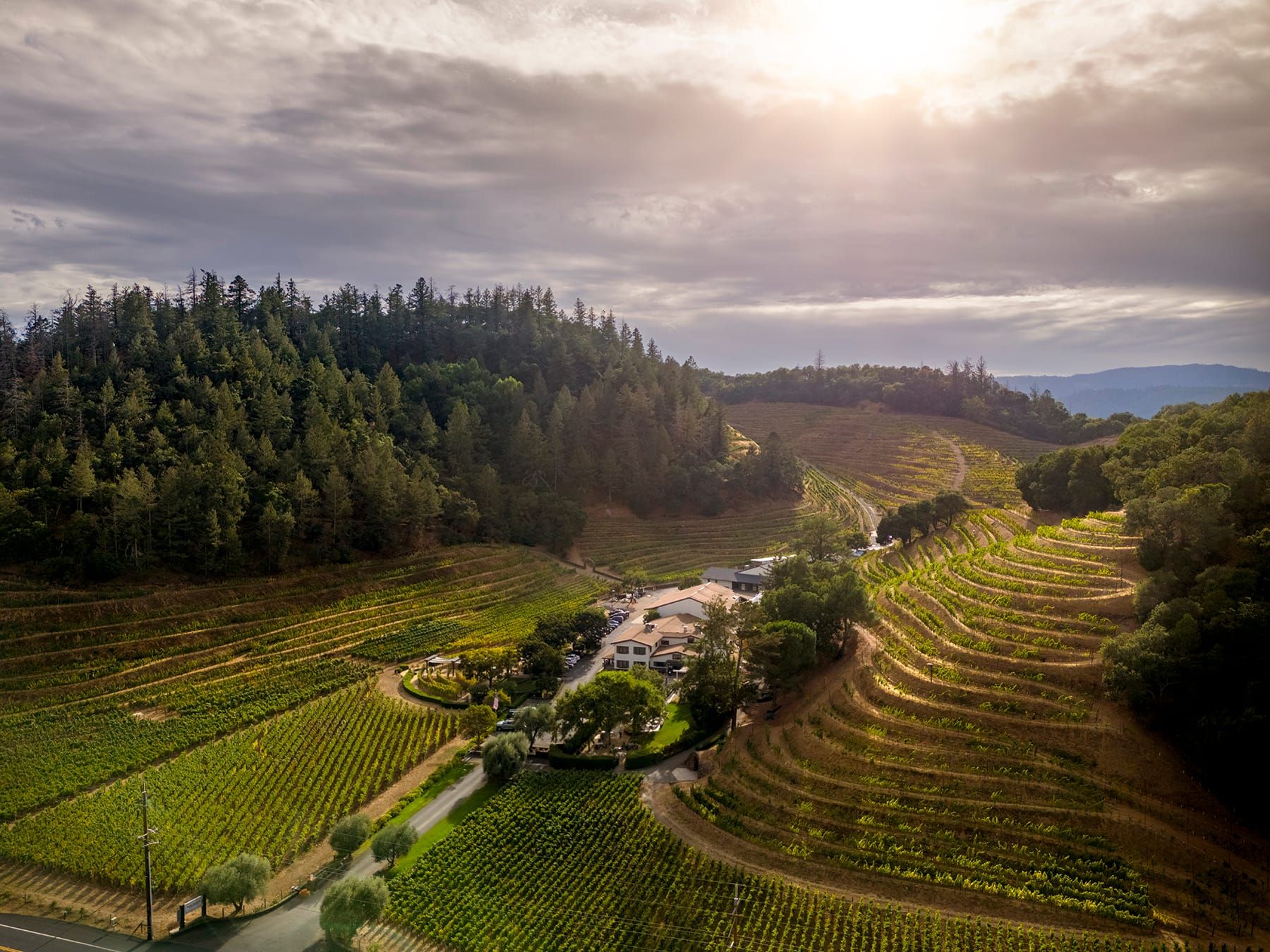 Sipping: Grown. Made. Poured. Pine Ridge Vineyards