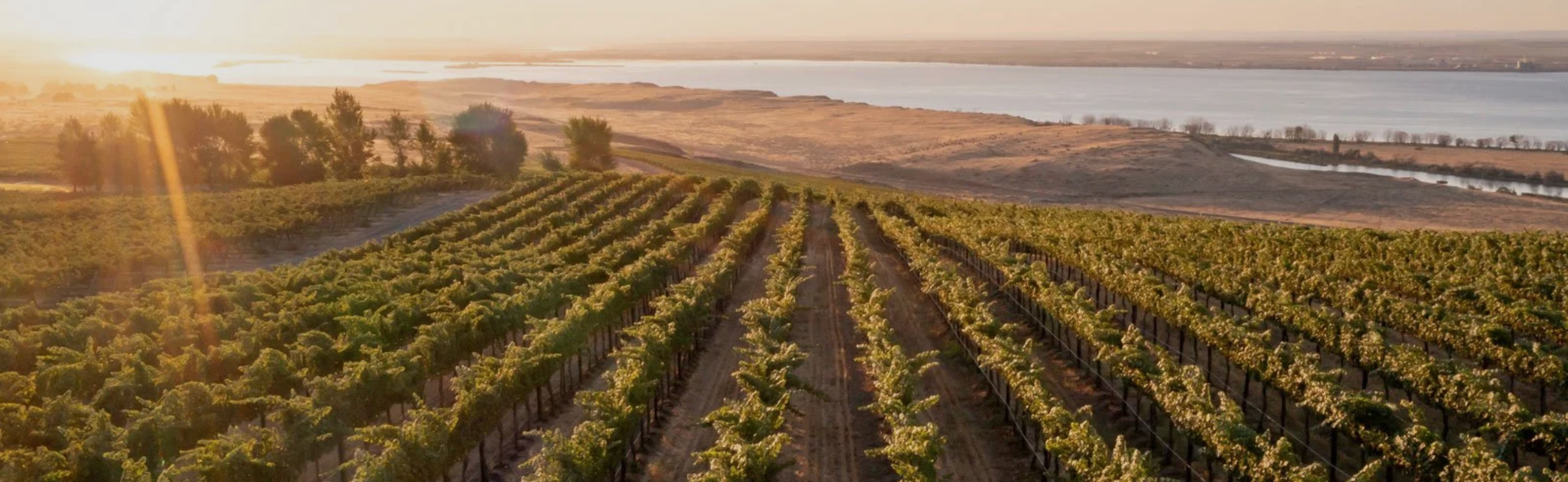 Sipping: Browne Family - Polished wines, zero pretension
