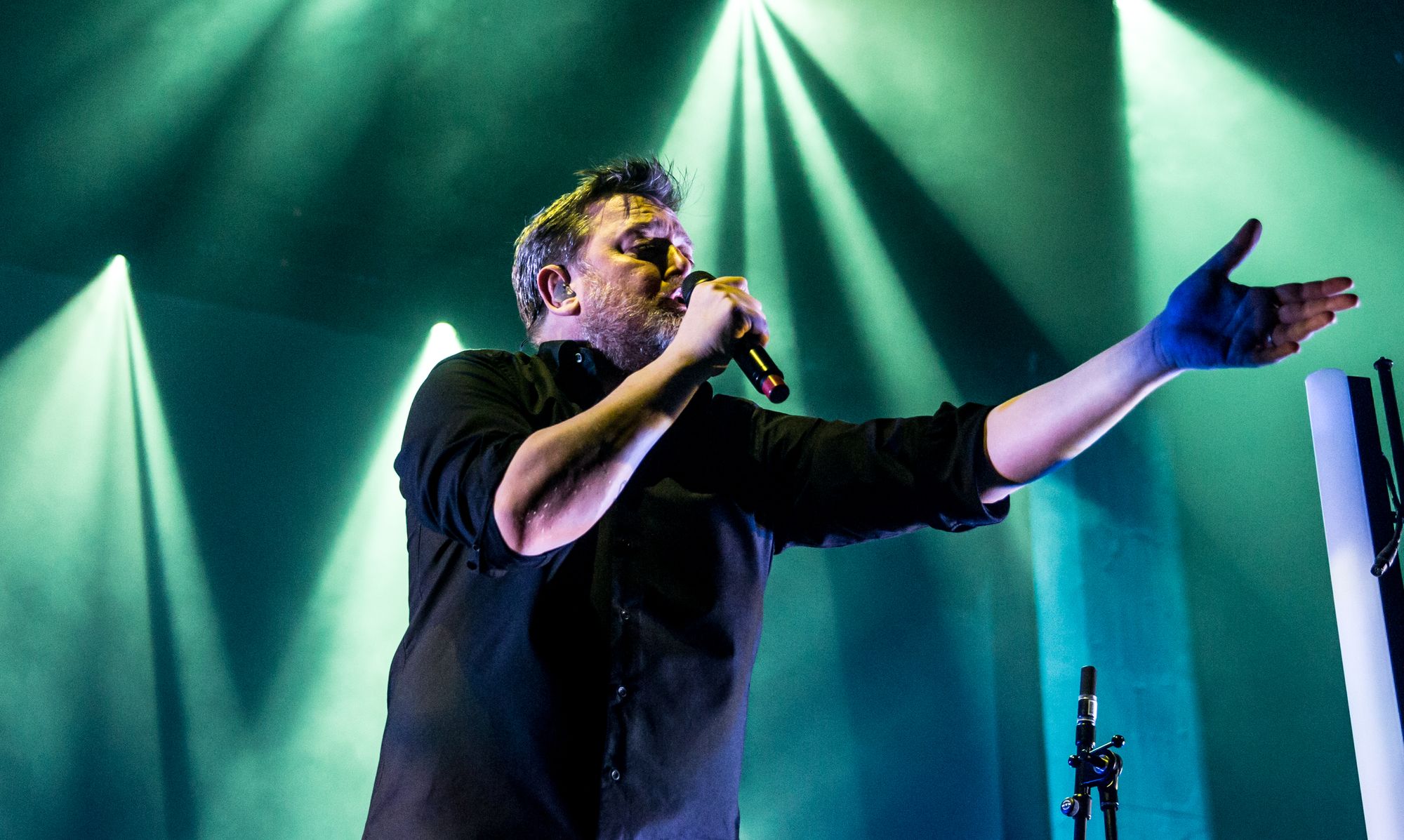 Listening to the birds by Elbow