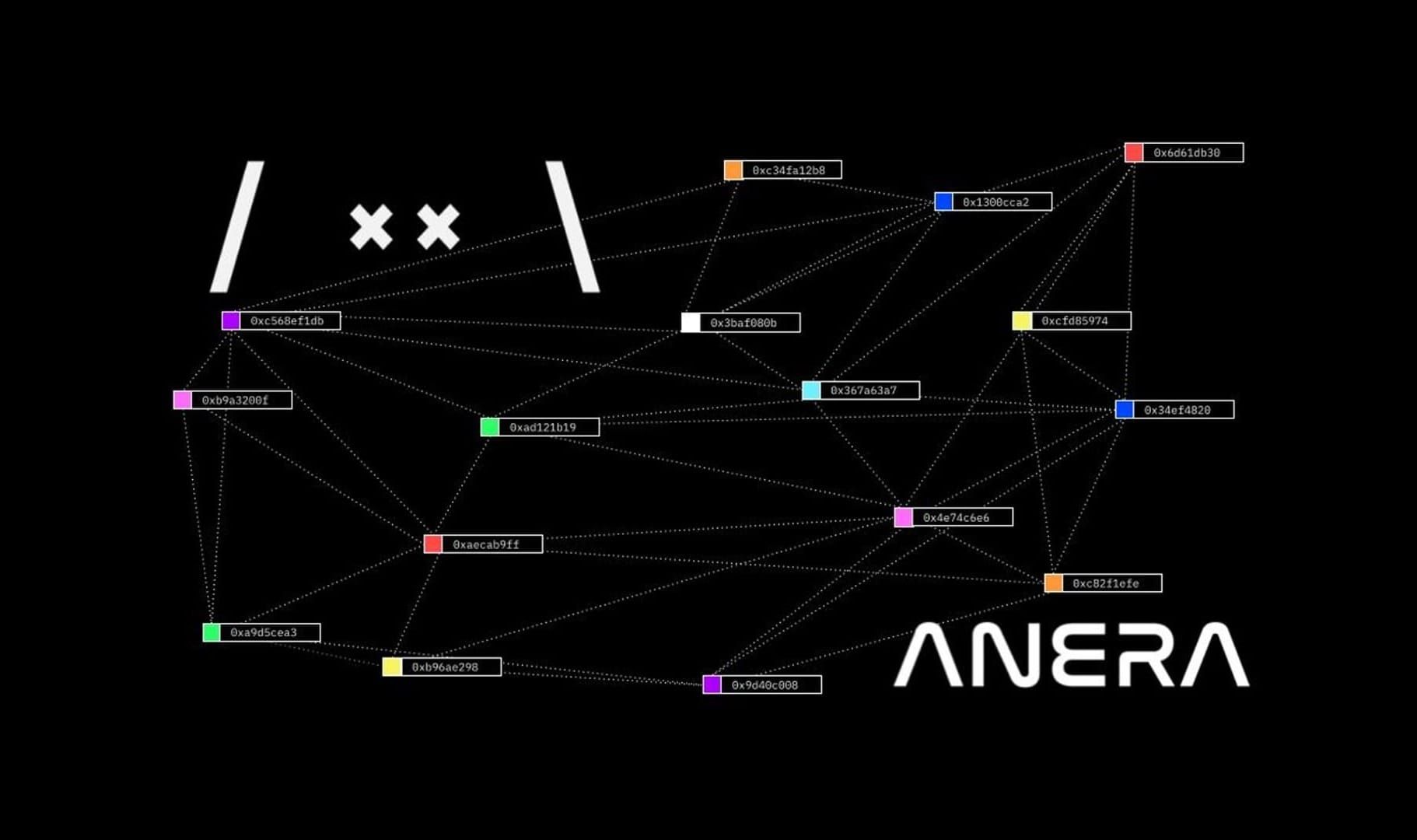 Anagram EIR: Anera Labs