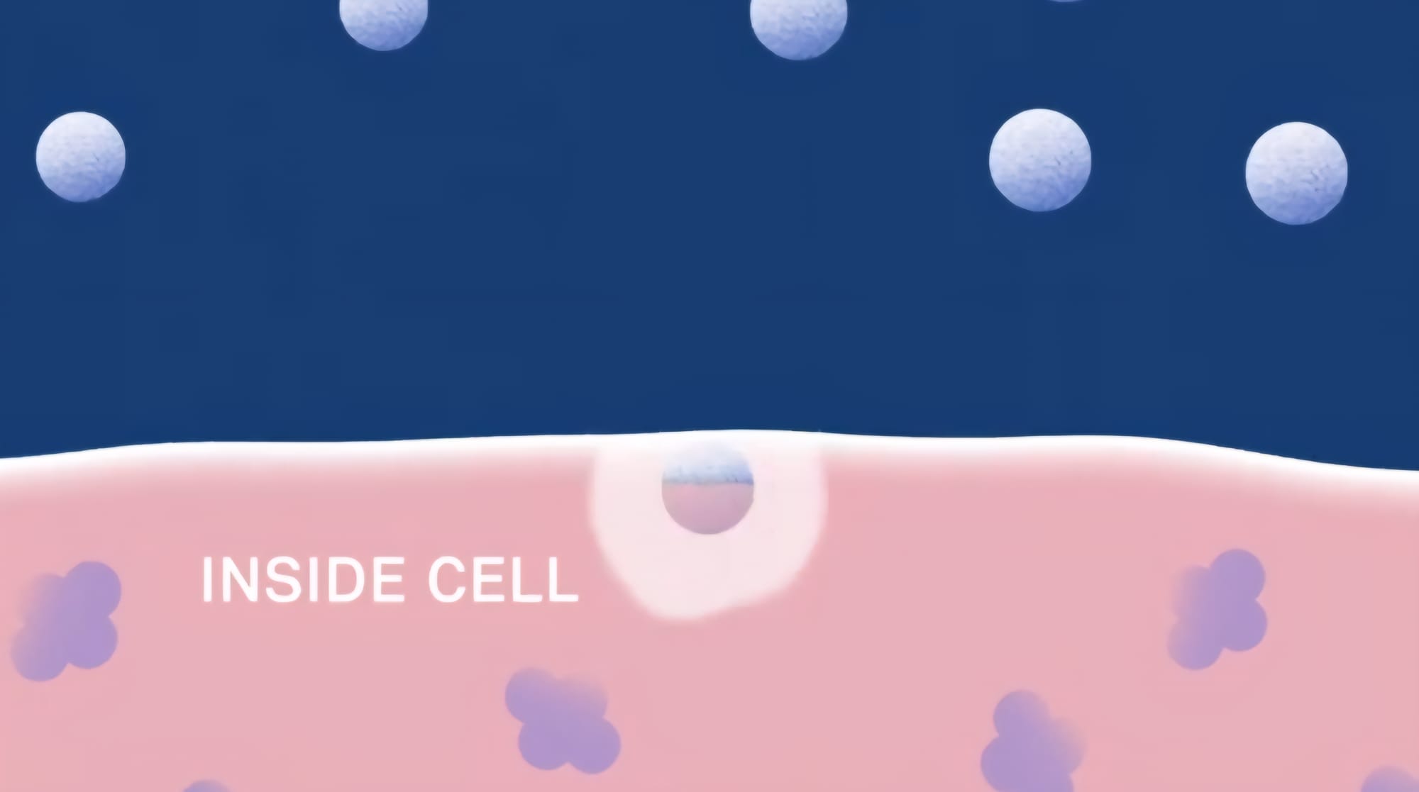 Dr. Ling found that molecular activities are taking place constantly in a living cell
