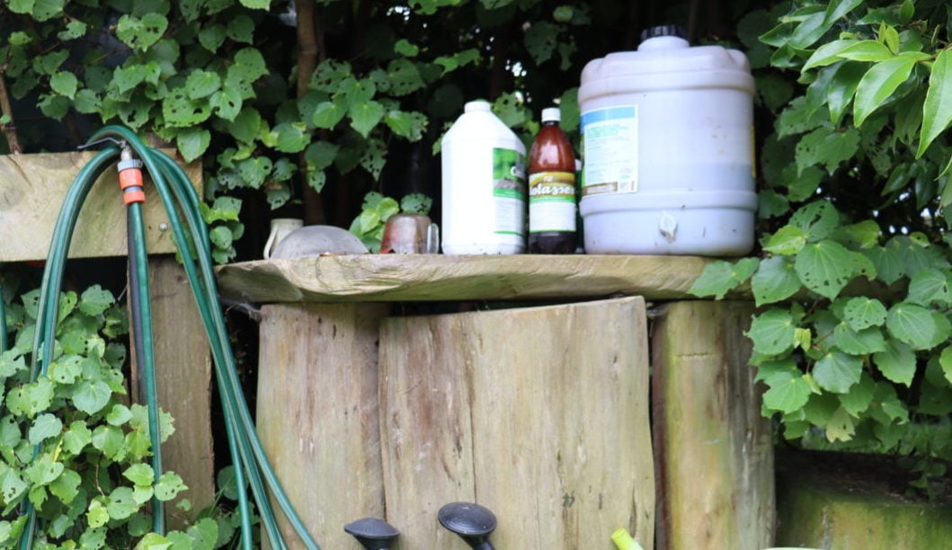 E.M. molasses and fish to make a biological brew for the soil