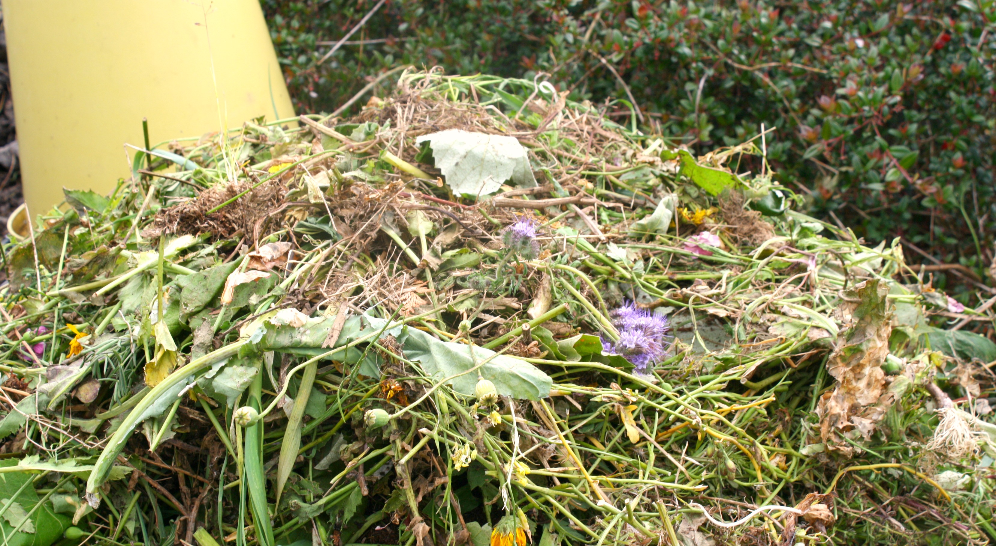 a pile homemade mulch helps build soil