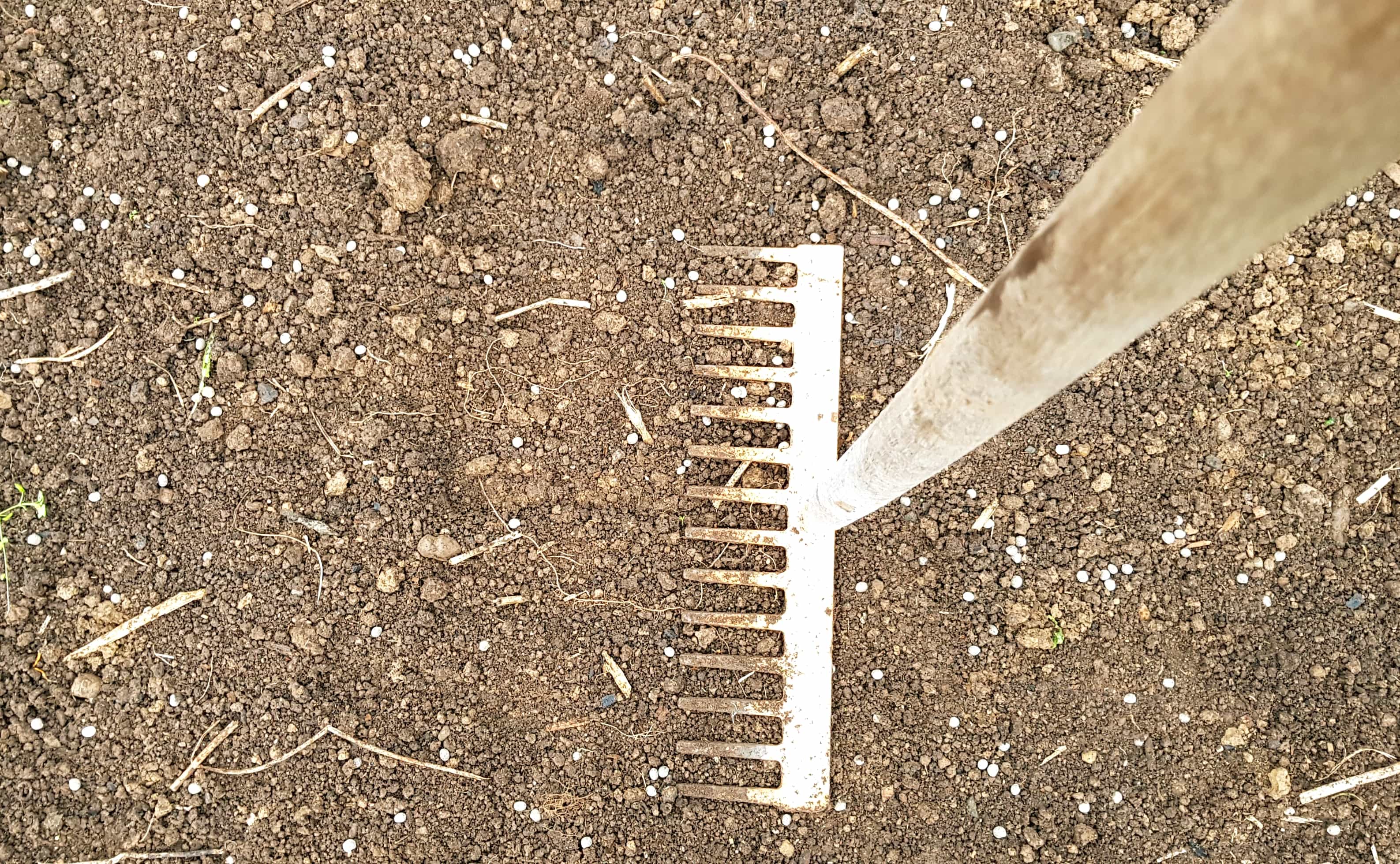 tamp down on top of seed for good soil contact