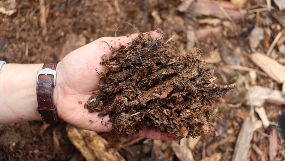 nicely-rotted-woody-mulch-ediblebackyard-nz