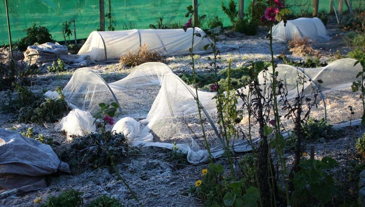 Learn Your Winter Landscape