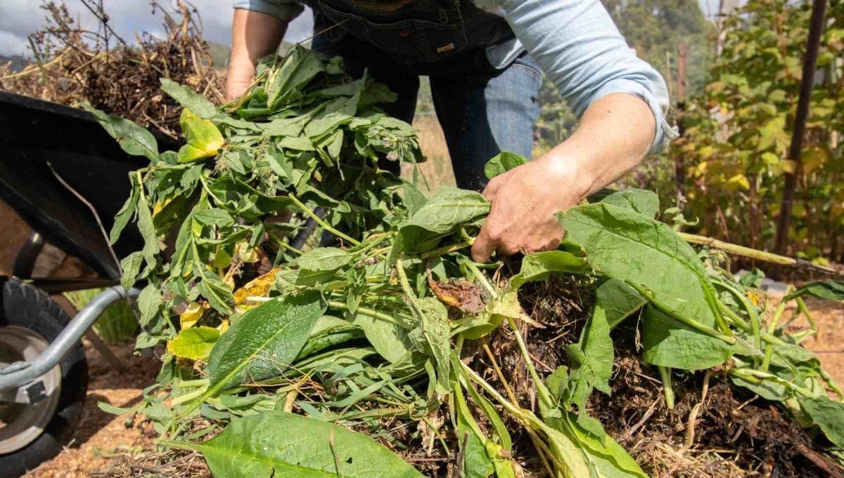 Easy peasy compost #2: A good setup