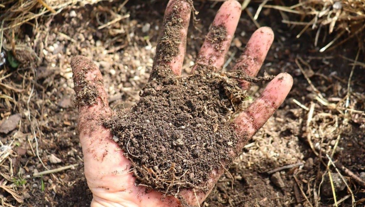 How to Rehydrate Dry Soil