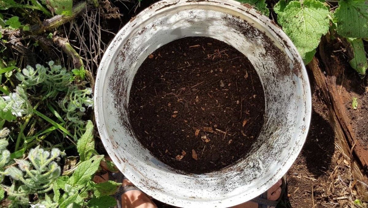 Homemade Seed Raising Mix