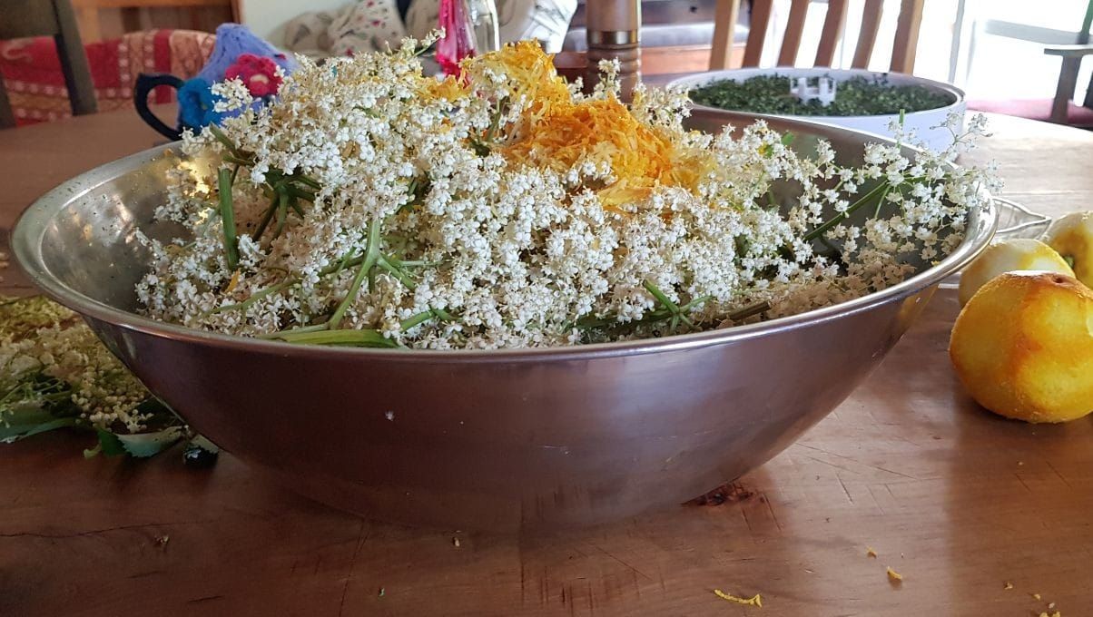 How to Make Elderflower Cordial