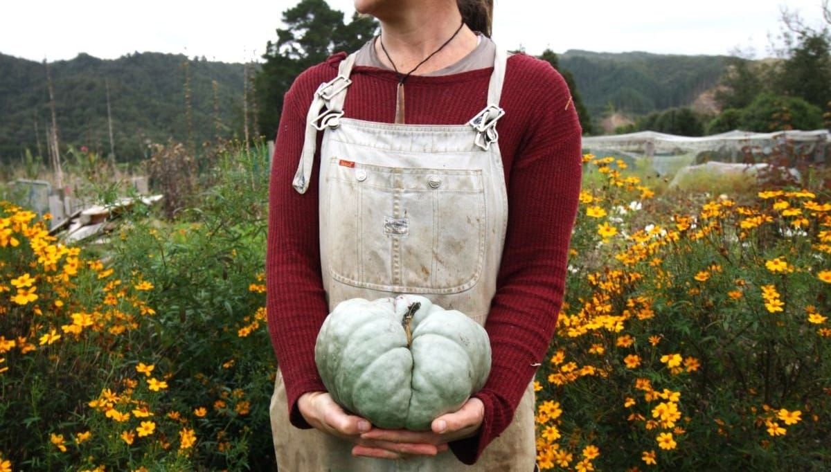 March In The Vegie Patch + Greenhouse