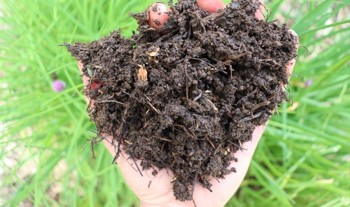 Simply Gardening #11 Bucket Wormfarms