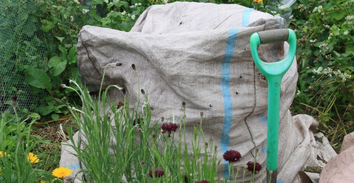 May In The Vegie Patch + Greenhouse