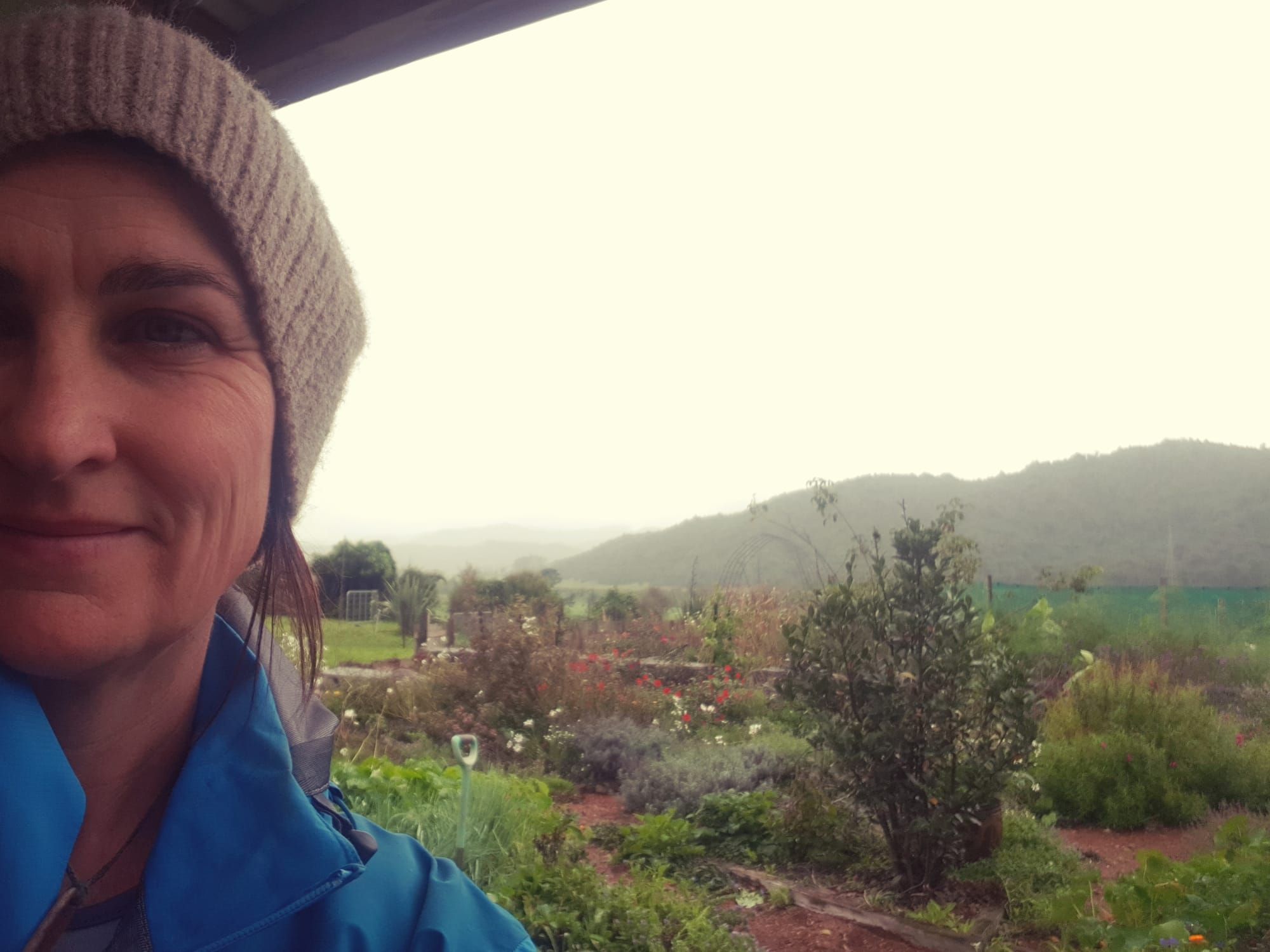 June in the vegie patch + greenhouse