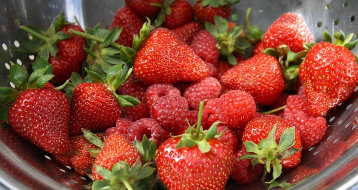 How To Grow Strawberries, Naturally