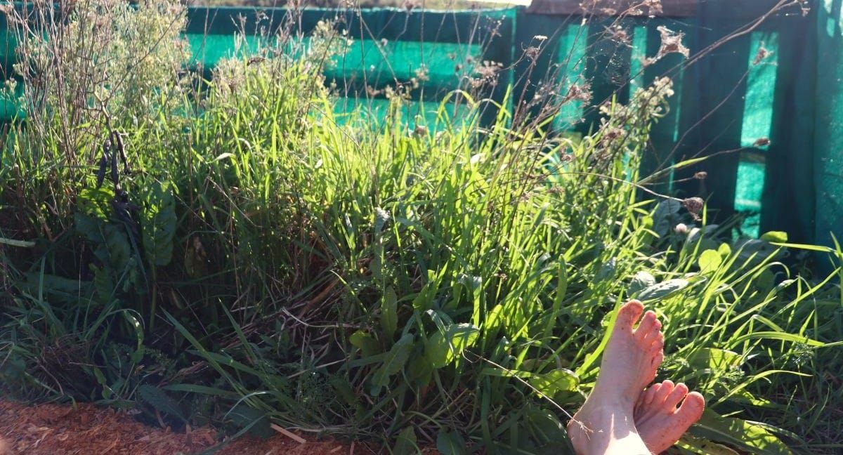 Weed smarter, not harder #1