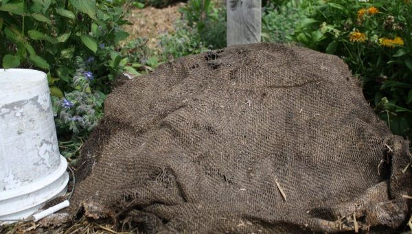 Easy Peasy Compost #3: Lets make compost!