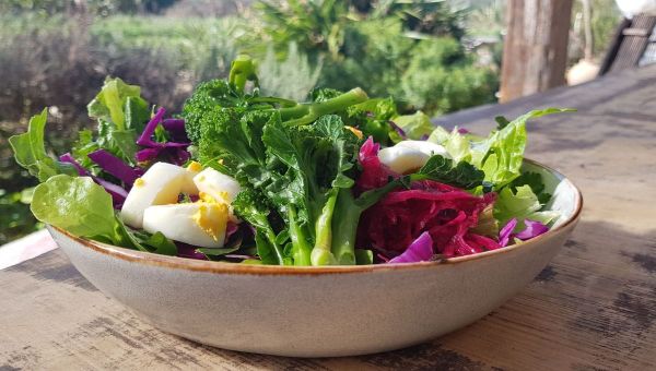 The Easiest Crops To Grow