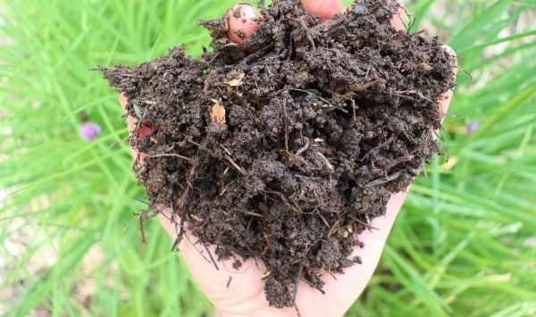 Turn Your Plastic Compost Bin into a Wormfarm