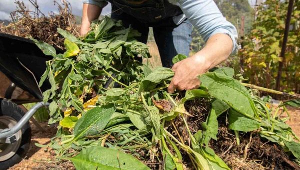 Easy peasy compost #2: A good setup