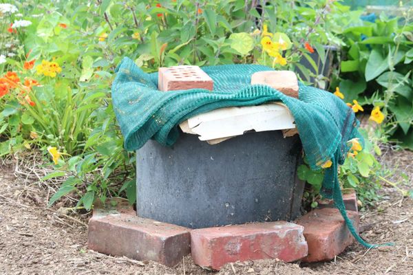 Recycle Foodscraps: Make a Bucket Worm-farm