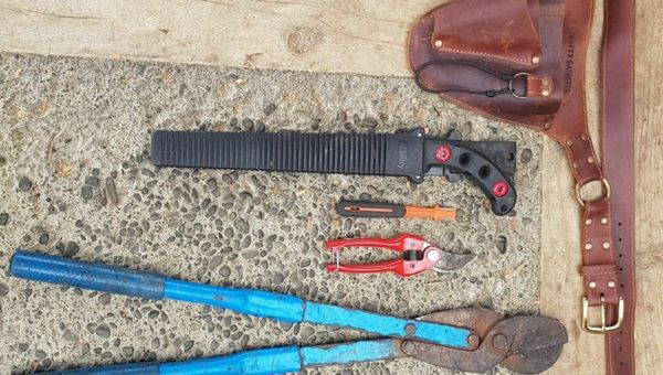 My Favourite Pruning Tools