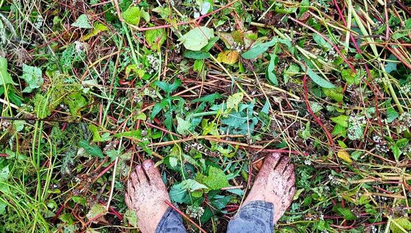 Homemade Mulch