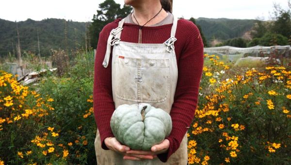 March In The Vegie Patch + Greenhouse