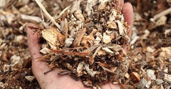 Simply Gardening #8 How to mulch