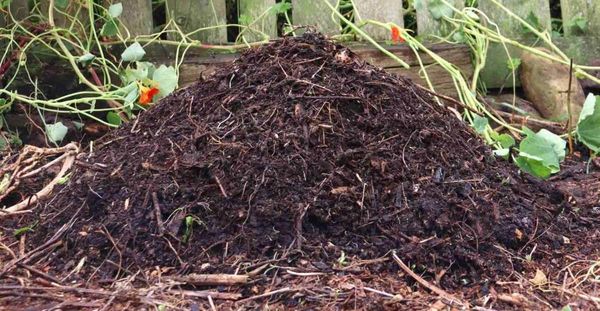 Simply Gardening #3 Easy-peasy Compost