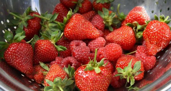 How To Grow Strawberries, Naturally