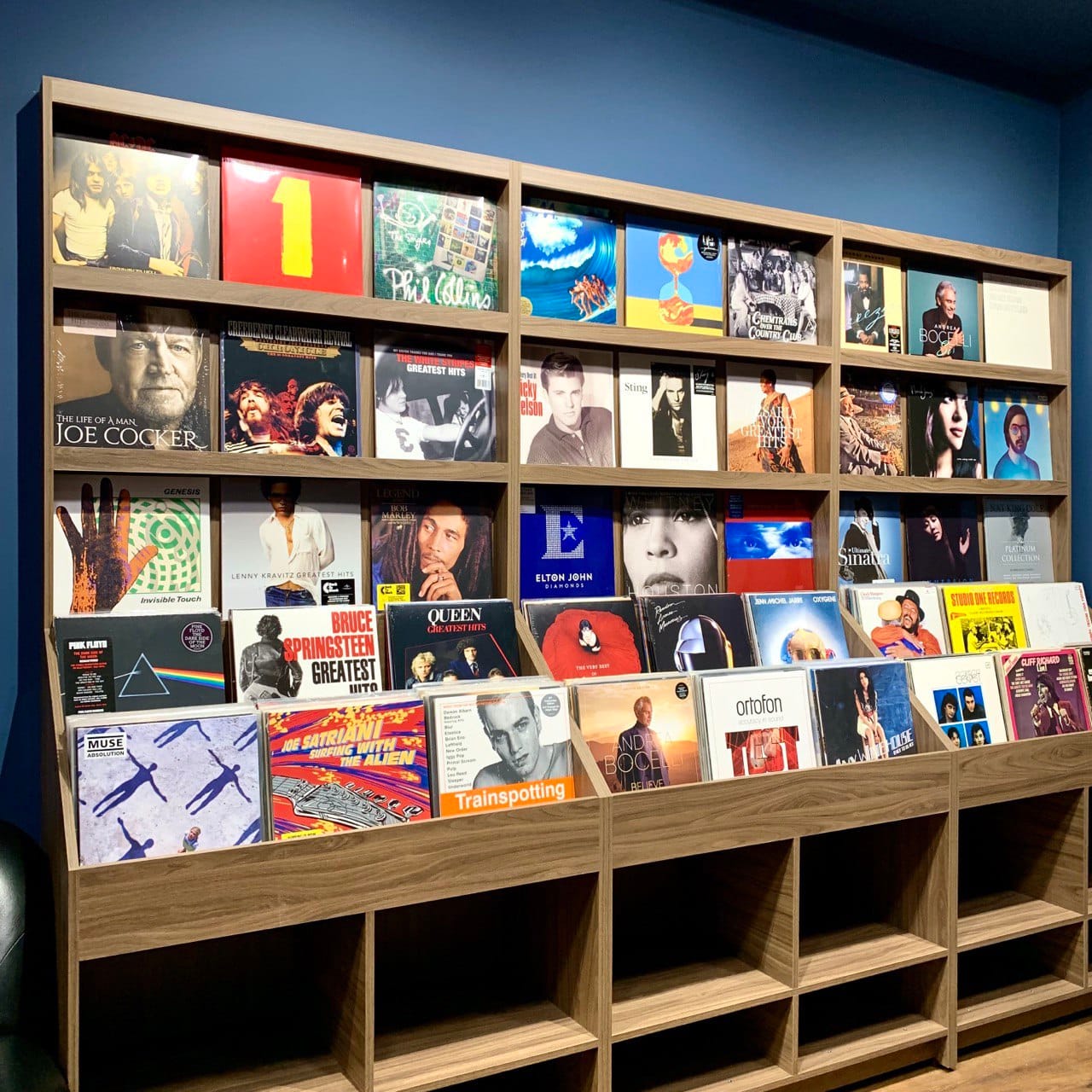 Магазин виниловых пластинок