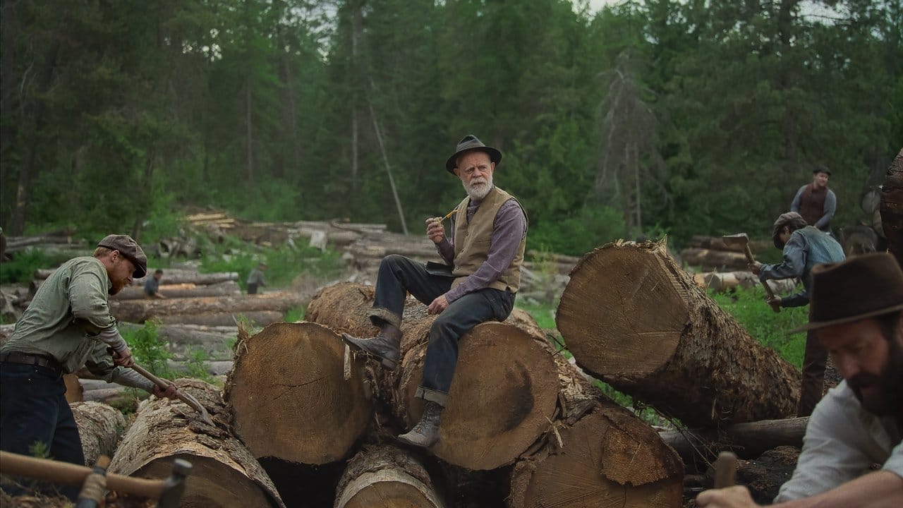 Кадр из фильма «Сны поездов»