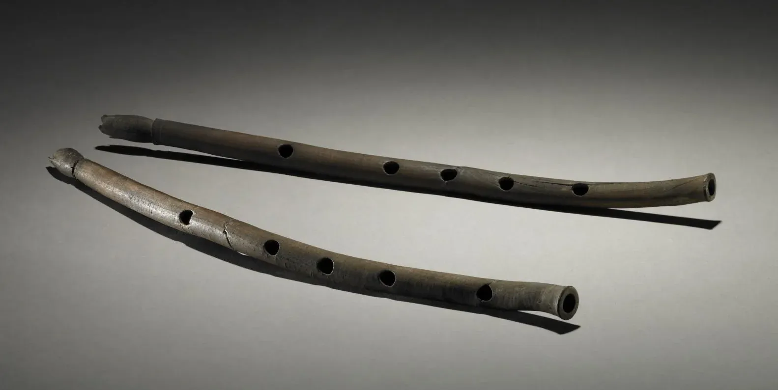 Флейты из кости