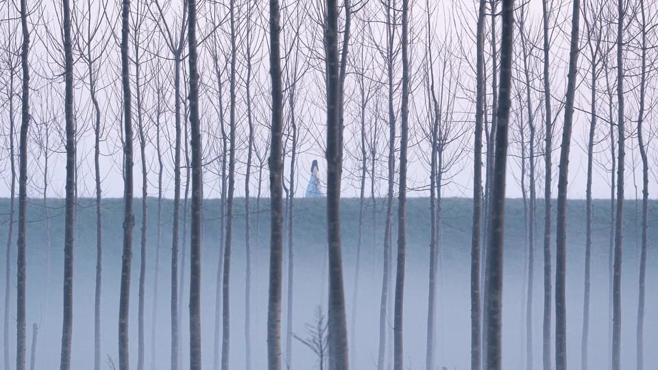 Кадр из фильма «Грация»