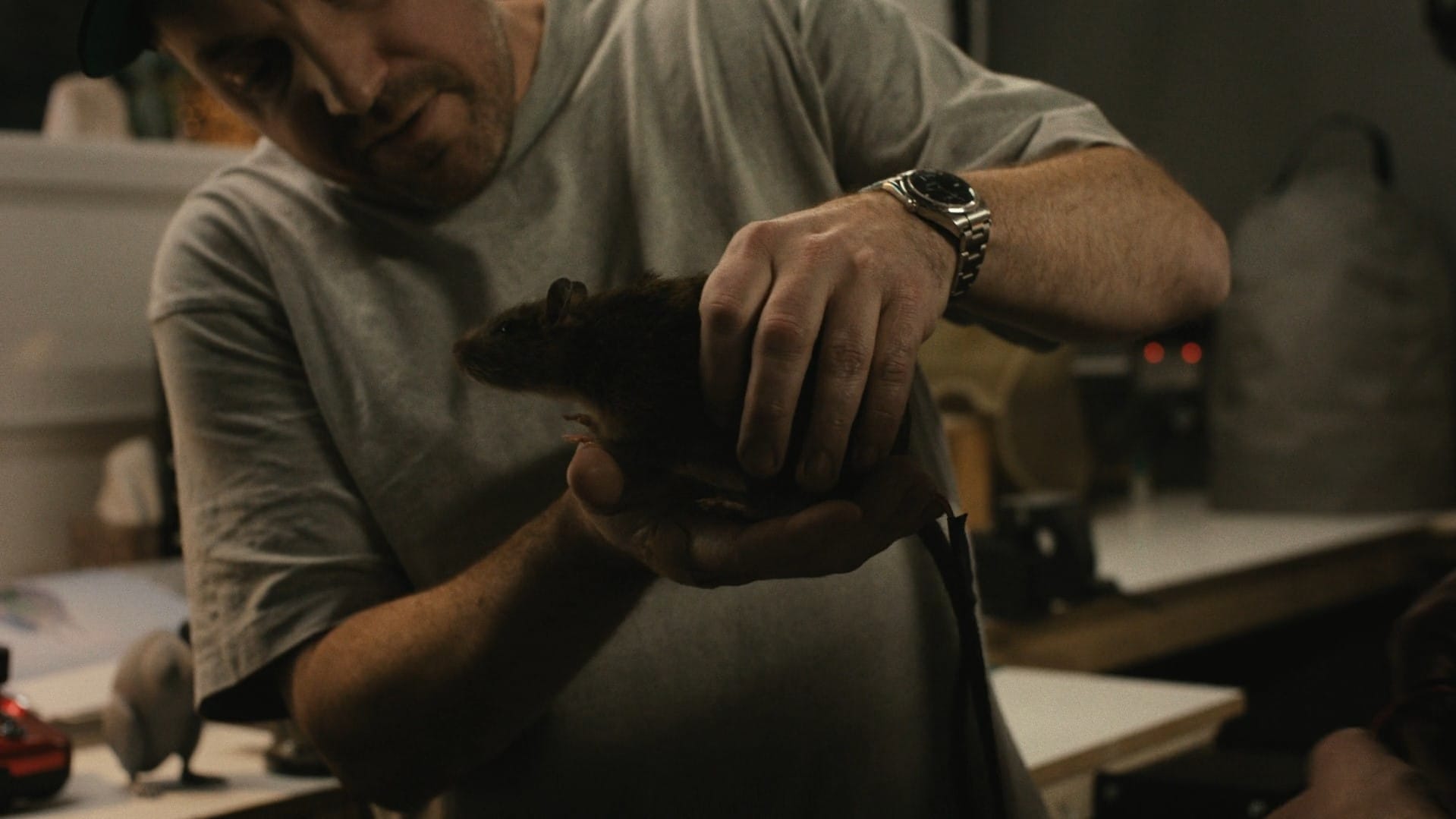 Кадр из фильма «В поисках Гарри: Мастерство, стоящее за магией»