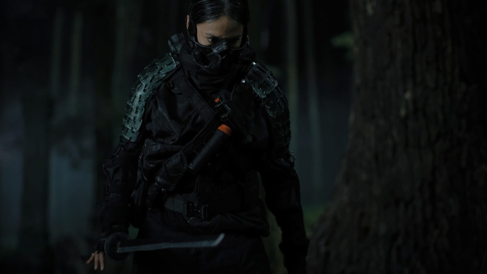 Кадр из фильма «Блуждающая тень»