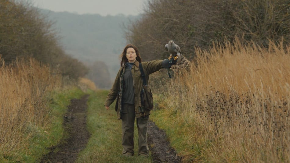 Кадр из фильма «Я — значит Ястреб»