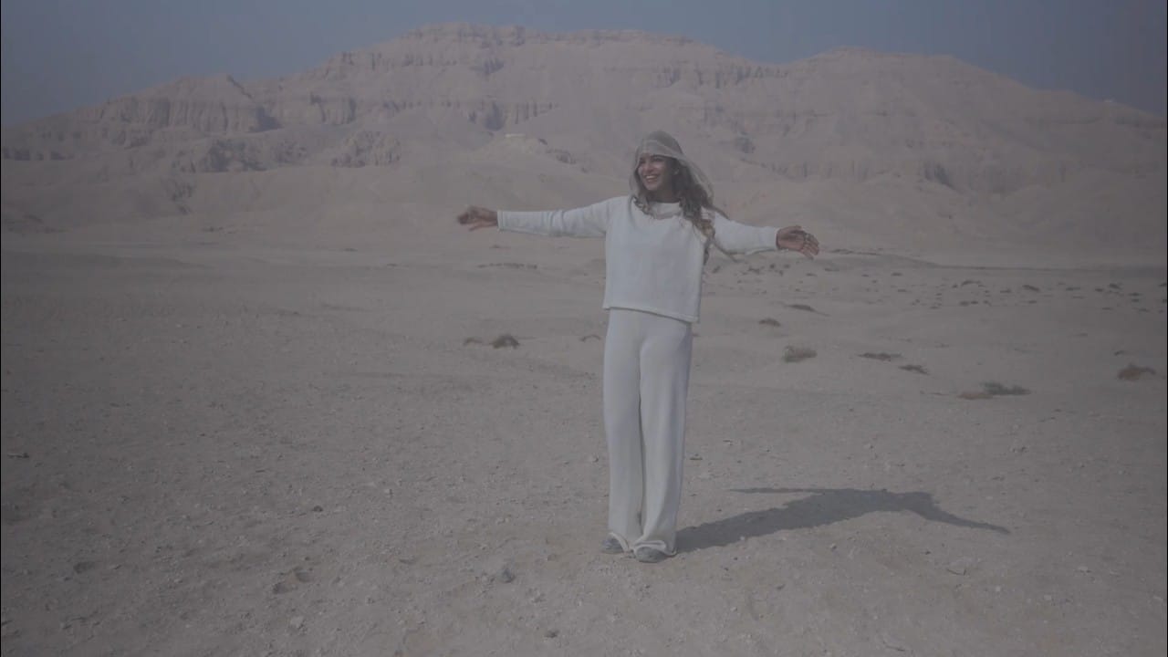 M.I.A., кадр из клипа «Everything»