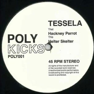 Обложка сингла «Hackney Parrot», выпущенного лейблом Poly Kicks в 2013 году