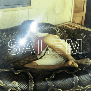 Обложка альбома SALEM «Red Dragon»
